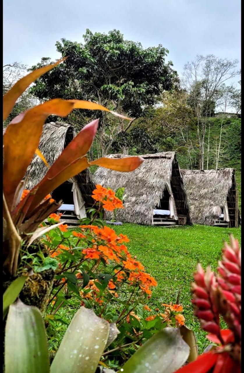 Bed and Breakfast Rancho Porvenir Mocoa Exterior foto